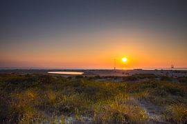 The Sand Motor by Celine