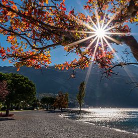 L'automne au bord du lac sur Thomas Prechtl