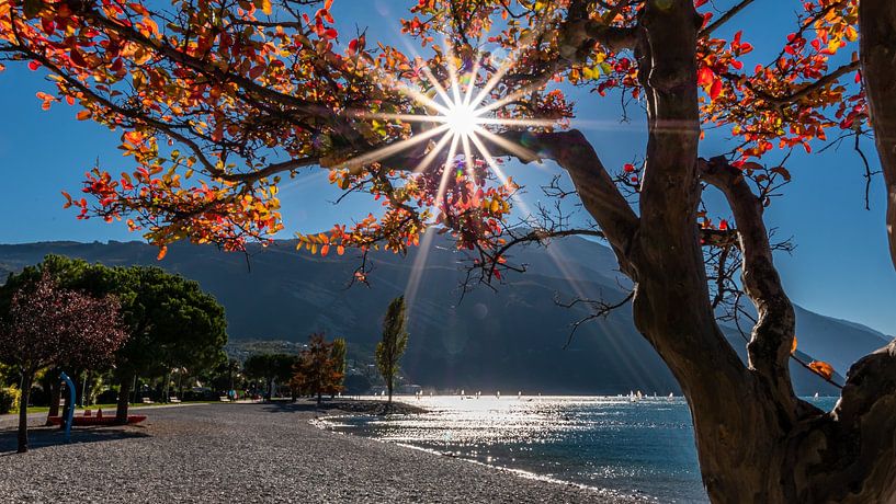 L'automne au bord du lac par Thomas Prechtl