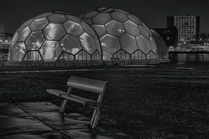 Schwimmender Pavillon Rotterdam schwarz und weiß