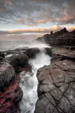 Wild Tenerife by Rolf Schnepp