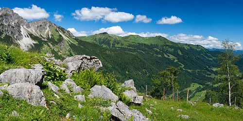 Panorama naar de Fellhorn