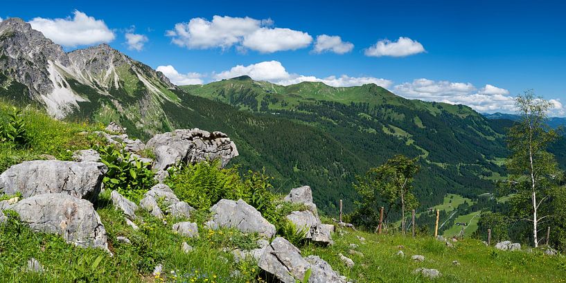 Panorama to the Fellhorn by Walter G. Allgöwer