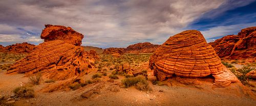 Valley of Fire by Ronnie Westfoto