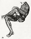 Anatomie Mann mit Muskeln, Reijer Stolk von Atelier Liesjes Miniaturansicht