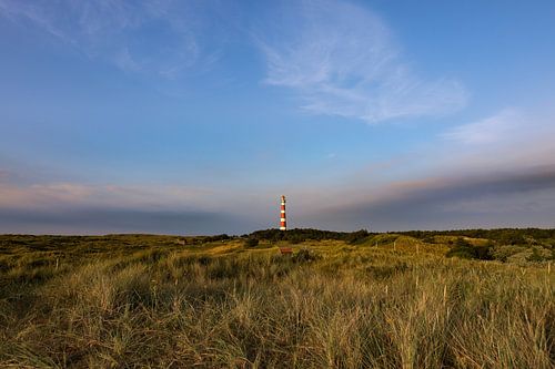Landscape of Ameland