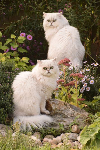 Posing in the garden by Petra van Engelenburcht