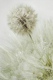 Above others in nature.