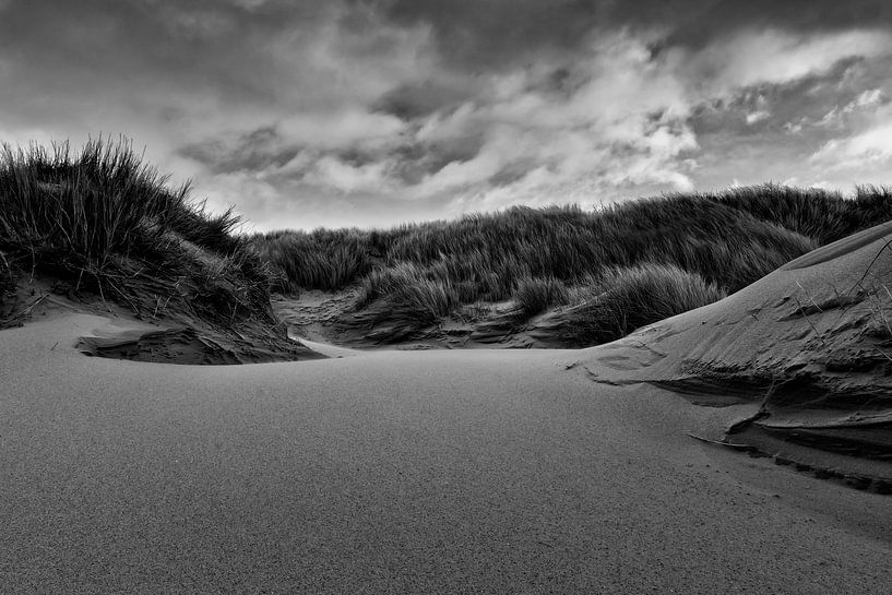 Duinen van Karin Bijl