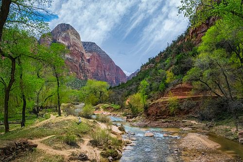 rivier in Zion National Park, Amerika