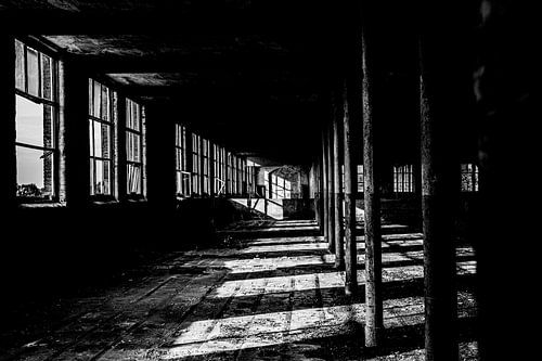 ZONNESTRALEN VERLATEN FABRIEK