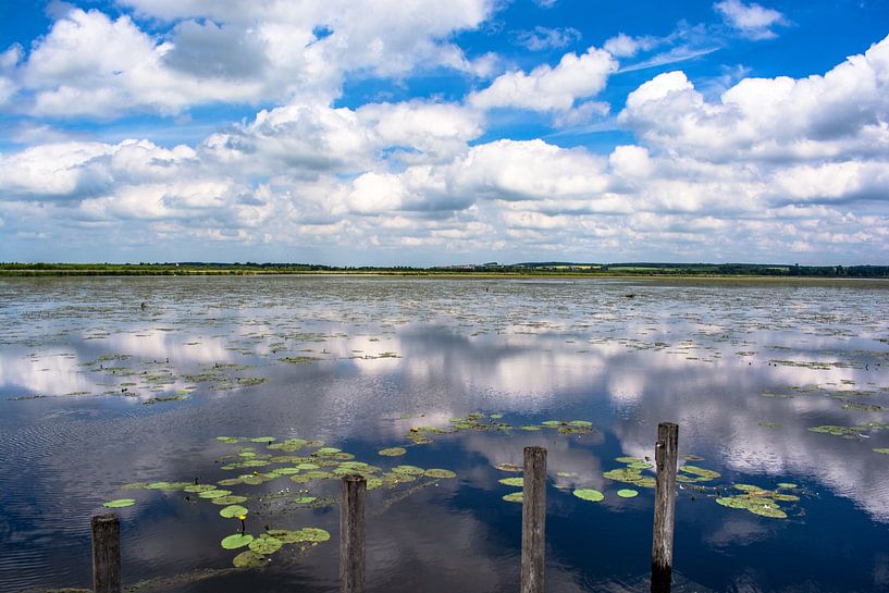 Bad Buchau : Ansicht auf den Federsee von Photoart-Naegele