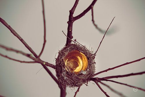 What is Golden, Nathan Larson