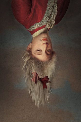 Upside Down Boy van Jonas Loose