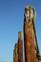 Oud hout
