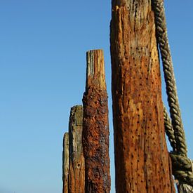 Oud hout van Marieke Borst