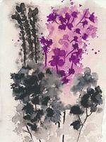 Mehr Schattenblumen
