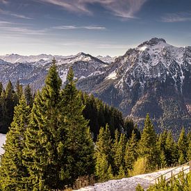 Panoramablick auf die Ammergauer Alpen vom Tegelberg in Bayern in Süddeutschland von Marga Vroom