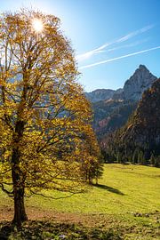 Ammergau Alps in autumn on the way to the Kenzen Hut by Daniel Pahmeier