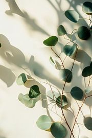 Eukalyptus Schatten von Poster Art Shop