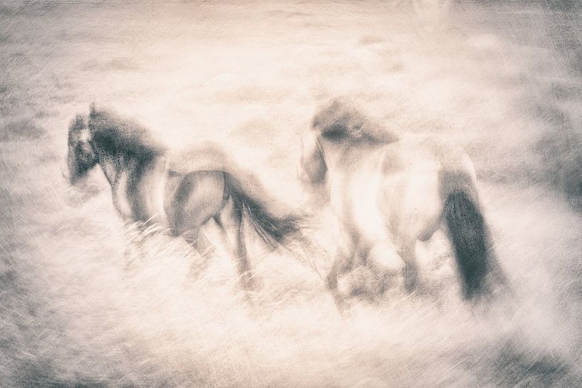 Courir sans entrave par Gustav Davidsson