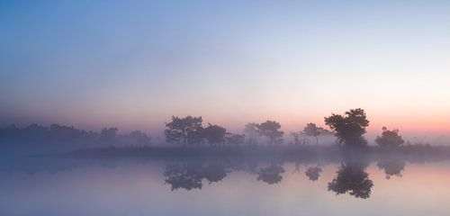 Strabrechtse Heide 210