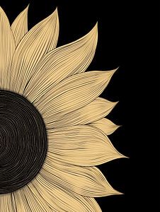 Sonnenblume