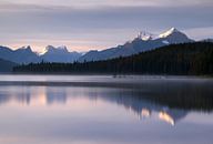 Maligne Lake, Jasper National Park, Alberta, Kanada von Alexander Ludwig Miniaturansicht