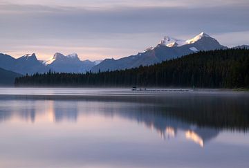 Maligne Lake, Jasper National Park, Alberta, Kanada von Alexander Ludwig