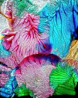Grains and colours