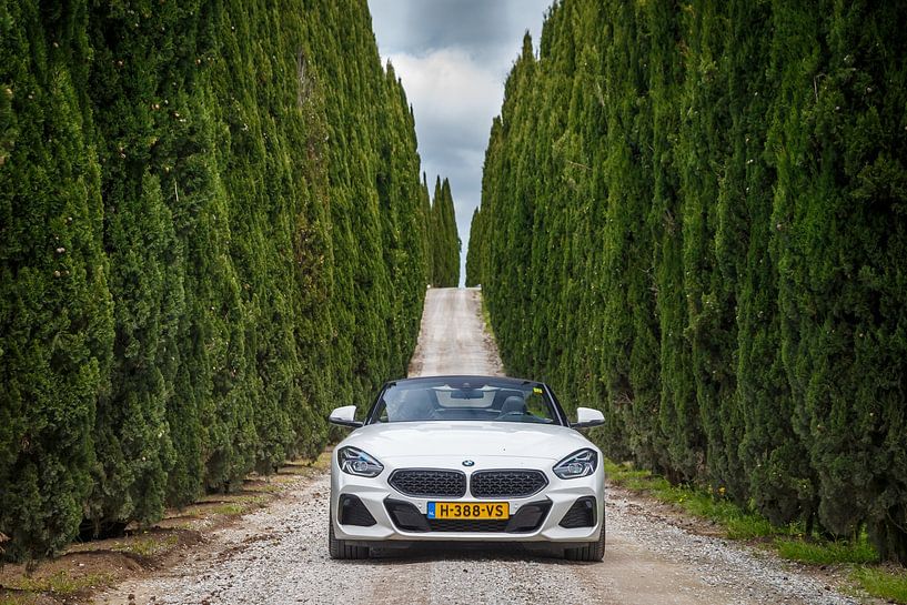 BMW Z4 van Menno Schaefer
