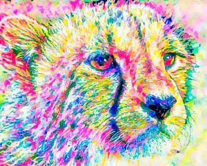 Summer Cheetah