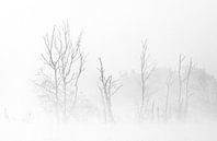 Silhouetten in de mist van René Vos thumbnail