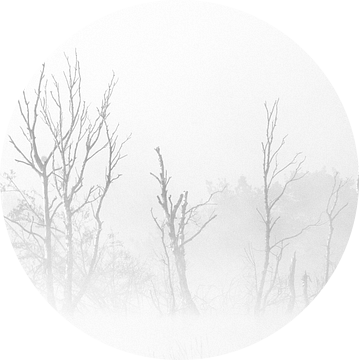 Silhouetten in de mist van René Vos