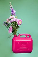 Combustible naturel