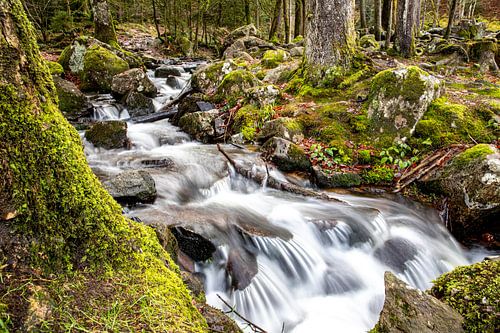 Ruisseau de montagne Scouet sous la grande cascade de Tendon