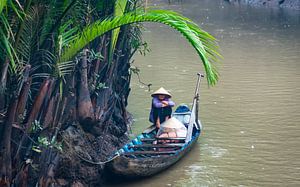 Verstecken für den Regen, Mekong Delta, Vietnam