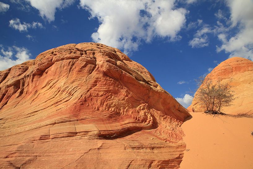 Rotsformaties in de North Coyote Buttes, deel van het Vermilion Cliffs National Monument. Dit gebied van Frank Fichtmüller