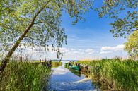Steiger met vissersboot aan het Achterwasser bij Warthe op het eiland Us van Rico Ködder thumbnail