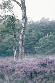 Planken Wambuis part 154