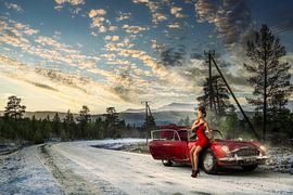 Rot in der Kälte stehen lassen von Arjen Roos