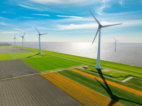 Tulpen in landbouwvelden met windturbines op de achtergrond