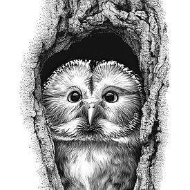 Wide-Eyed Owl in Tree Hollow Line Art by NAIME ATELIER