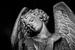 Standbeeld van een verdrietige engel | Londen | Zwart-wit foto I Reisfotografie van Diana van Neck Photography