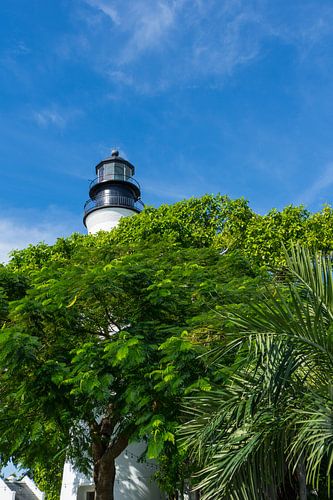 Verenigde Staten, Florida, Enorme witte oude vuurtoren