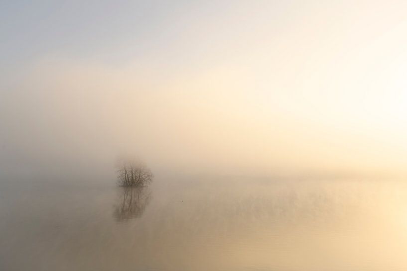 Mist rising up from the river IJssel during a cold winter morning by Sjoerd van der Wal Photography