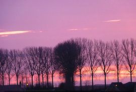 Camïeux de rose by Mireille Geerts