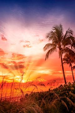 BONITA BEACH Schilderachtige zonsondergang van Melanie Viola