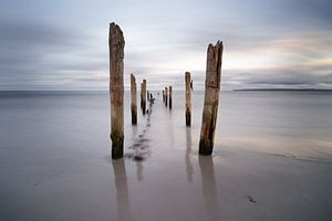 Holzstangen am Strand
