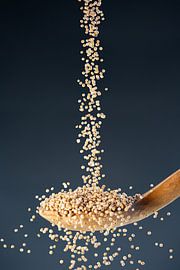 Goldene Körner – die Kraft des Senfs von Photo Art Thomas Klee